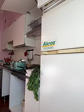 Sunbelxx online show from November 4, 2025, 8:46 am