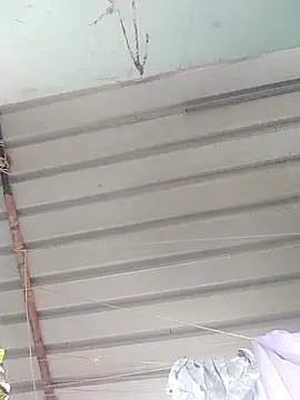 Snapshot of Mafiya1604 chatting on September 29, 2025, 4:17 am Mafiya1604 online show from September 29, 2025, 4:17 am