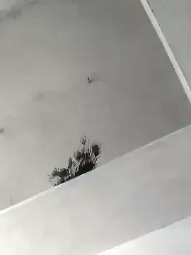 Snapshot of Mafiya1604 chatting on October 22, 2025, 5:30 am Mafiya1604 online show from October 22, 2025, 5:30 am