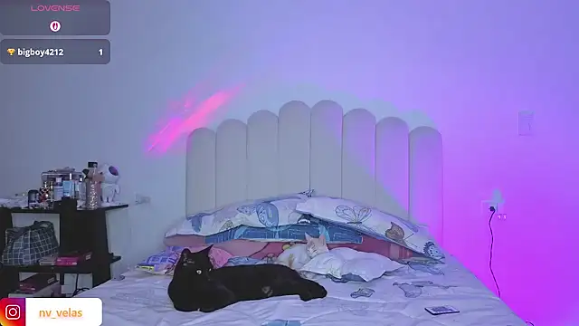 charlotte 002 online show from March 16, 2026, 11:09 pm