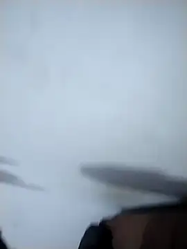 Snapshot of Flaquito_pitudo chatting on December 2, 2024, 1:03 am Flaquito pitudo online show from December 2, 2024, 1:03 am