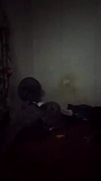 Snapshot of Flaquito_pitudo chatting on December 9, 2024, 8:22 am Flaquito pitudo online show from December 9, 2024, 8:22 am