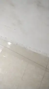 Snapshot of Flaquito_pitudo chatting on February 25, 2025, 12:03 pm Flaquito pitudo online show from February 25, 2025, 12:03 pm