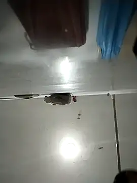 Snapshot of Flaquito_pitudo chatting on March 1, 2025, 11:50 am Flaquito pitudo online show from March 1, 2025, 11:50 am