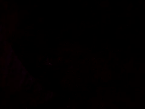 Snapshot of Flaquito_pitudo chatting on March 12, 2025, 8:30 am Flaquito pitudo online show from March 12, 2025, 8:30 am