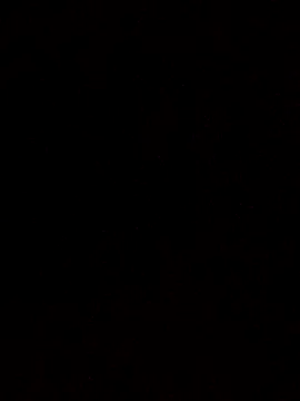 Snapshot of Flaquito_pitudo chatting on March 18, 2025, 10:36 am Flaquito pitudo online show from March 18, 2025, 10:36 am