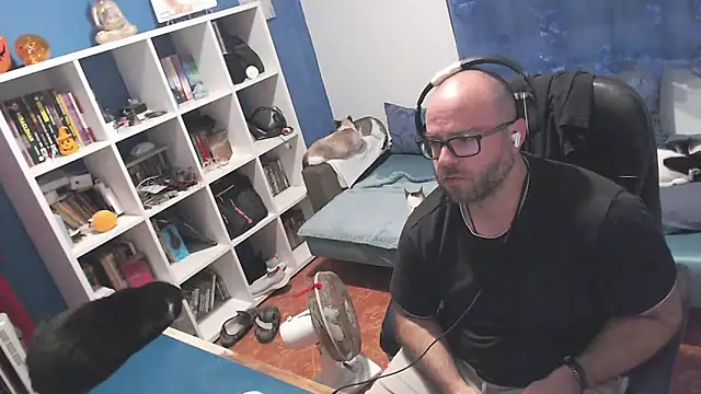 ravingr4d4 online show from October 20, 2025, 9:37 pm