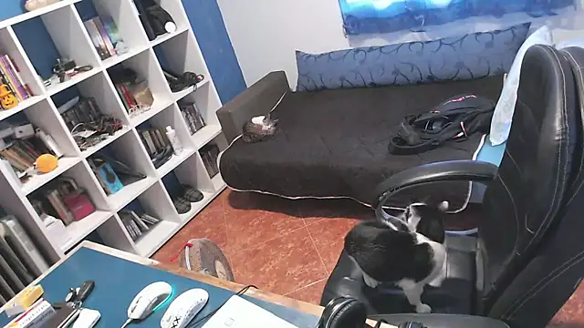 ravingr4d4 online show from October 24, 2025, 3:19 pm