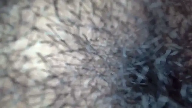 white sexy  online show from November 29, 2025, 11:41 pm