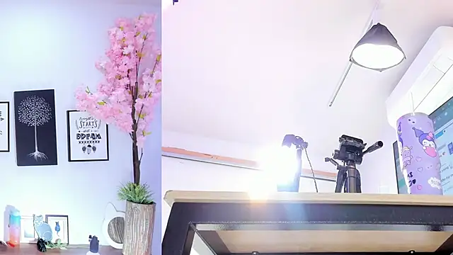 Siouxsie cenobite online show from October 15, 2025, 11:32 am