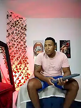 Snapshot of ARTHUR_MINI chatting on April 1, 2026, 2:01 am ARTHUR MINI online show from April 1, 2026, 2:01 am