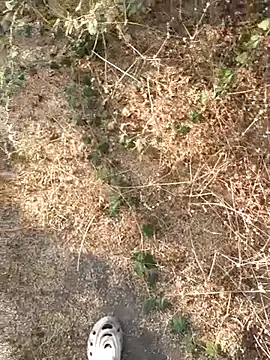 Ajith mvi online show from March 21, 2026, 11:37 am