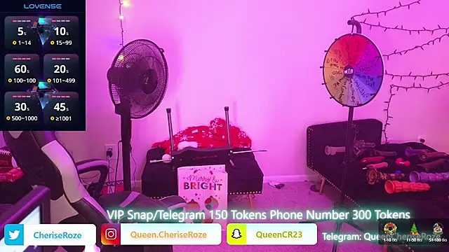 Snapshot of cheriserozequeen chatting on December 22, 2024, 10:25 pm cheriserozequeen online show from December 22, 2024, 10:25 pm