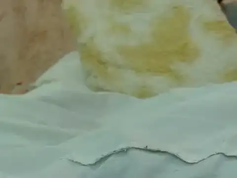 Snapshot of hairy_pussywet chatting on February 4, 2025, 12:40 am hairy pussywet online show from February 4, 2025, 12:40 am