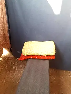 Burhade-- online show from October 12, 2025, 11:31 am