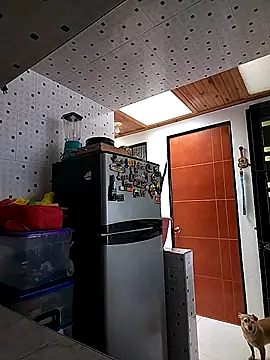 Mariam Gomezxxx online show from October 6, 2025, 3:53 pm