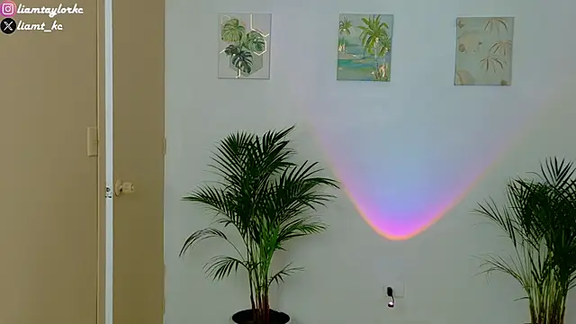 Snapshot of Liam_Taylor chatting on December 3, 2025, 10:19 pm Liam Taylor online show from December 3, 2025, 10:19 pm