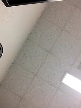 Fred bo online show from October 24, 2025, 4:25 pm