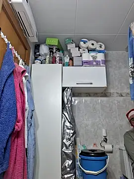 Javier bear online show from December 19, 2025, 1:40 pm