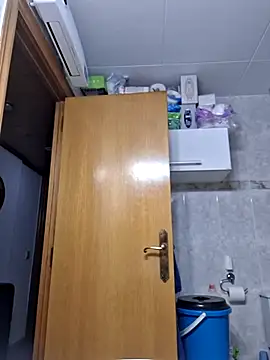 Snapshot of Javier_bear chatting on February 12, 2026, 2:01 pm Javier bear online show from February 12, 2026, 2:01 pm