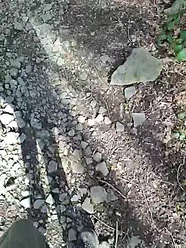 FreezingTie850 online show from April 6, 2026, 10:16 am