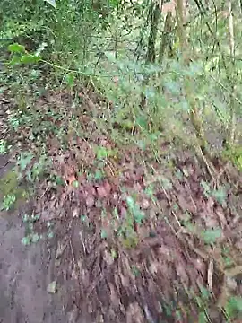 FreezingTie850 online show from April 14, 2026, 10:10 am