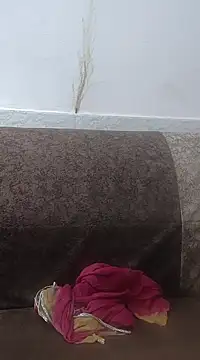 Aaradhya online show from February 24, 2025, 3:33 am