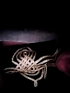 nayakaA7 online show from November 21, 2025, 4:44 am