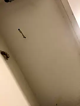 Snapshot of lovelydick69 chatting on December 2, 2024, 3:47 am lovelydick69 online show from December 2, 2024, 3:47 am