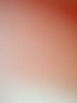 zhenzhen521 online show from November 11, 2025, 2:17 pm