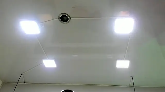 Snapshot of AnthonyAlso chatting on October 9, 2025, 7:56 pm AnthonyAlso online show from October 9, 2025, 7:56 pm