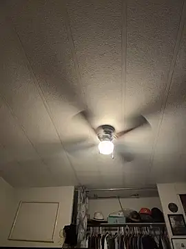 BobbyQ29 online show from February 16, 2026, 3:46 am