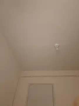 wedge75 online show from March 10, 2026, 5:51 pm