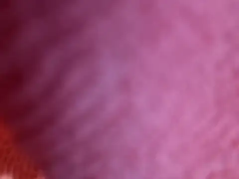 Amarok39 online show from October 18, 2025, 7:47 pm