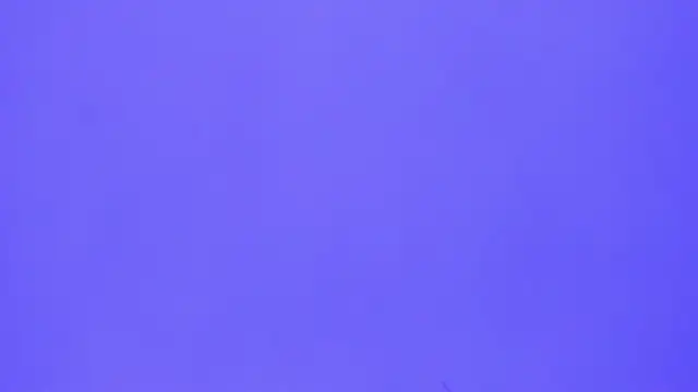 Snapshot of brenda_sofia2 chatting on November 21, 2025, 3:11 pm brenda sofia2 online show from November 21, 2025, 3:11 pm