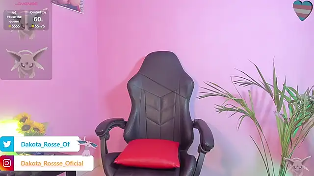 Snapshot of DakotaRosee chatting on December 4, 2024, 6:44 am DakotaRosee online show from December 4, 2024, 6:44 am