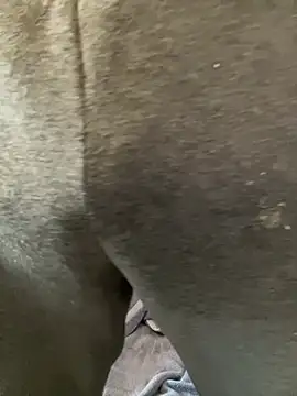 Enos3 online show from April 16, 2026, 11:55 am