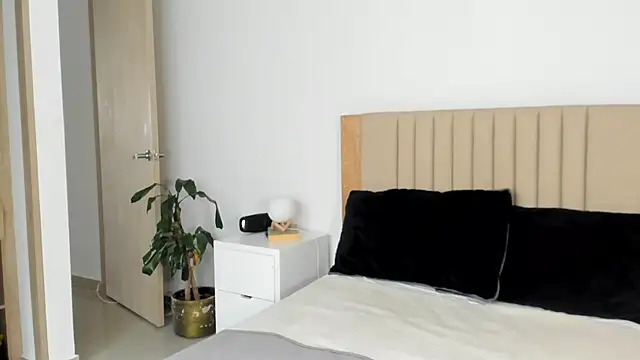 AnaHenao online show from October 28, 2025, 9:28 pm