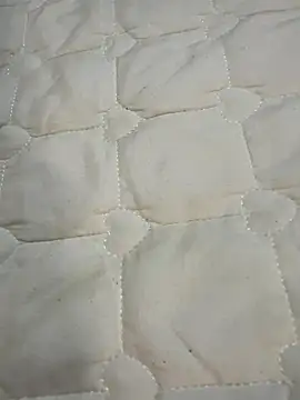 Annabody online show from November 14, 2025, 8:02 am