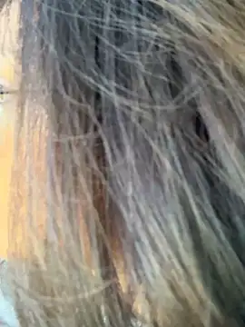 miacanela xo online show from October 11, 2025, 10:08 pm