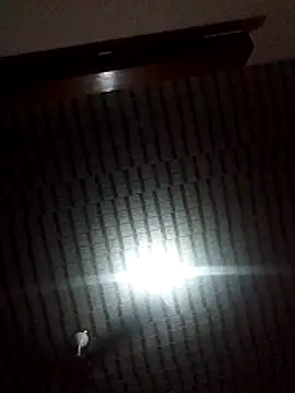 Snapshot of Blackpenis28 chatting on February 1, 2026, 10:36 am Blackpenis28 online show from February 1, 2026, 10:36 am