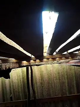 Snapshot of HotSexyBoudi chatting on September 29, 2025, 8:41 am HotSexyBoudi online show from September 29, 2025, 8:41 am