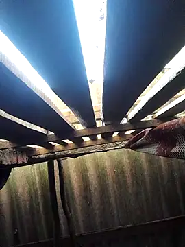 Snapshot of HotSexyBoudi chatting on October 16, 2025, 8:48 am HotSexyBoudi online show from October 16, 2025, 8:48 am