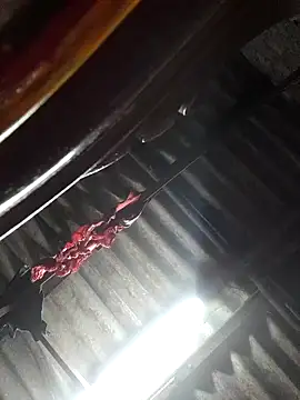 Snapshot of HotSexyBoudi chatting on November 4, 2025, 8:46 am HotSexyBoudi online show from November 4, 2025, 8:46 am