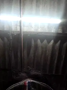 Snapshot of HotSexyBoudi chatting on November 15, 2025, 9:06 am HotSexyBoudi online show from November 15, 2025, 9:06 am