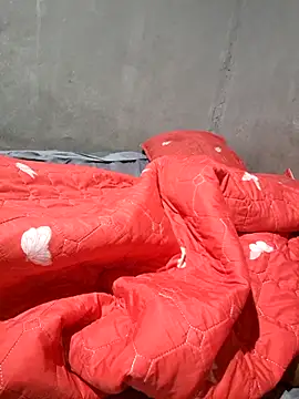 Petrossa online show from December 4, 2025, 3:27 am