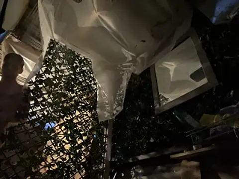 trash4cash online show from March 23, 2026, 12:03 am