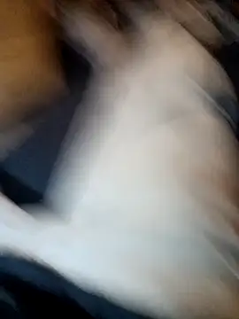 Snapshot of ySqmbVanbe chatting on November 11, 2025, 7:14 pm ySqmbVanbe online show from November 11, 2025, 7:14 pm