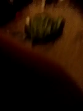 ySqmbVanbe online show from February 16, 2026, 1:35 am