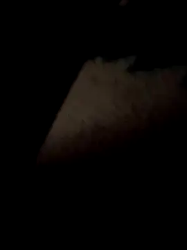 ySqmbVanbe online show from March 12, 2026, 6:19 am